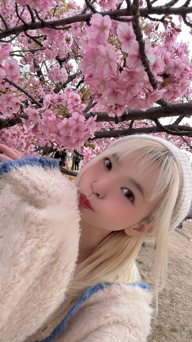 Mii ᙏ̤̫ ミス東スポ2026 (@miii90s) / Highlights / X