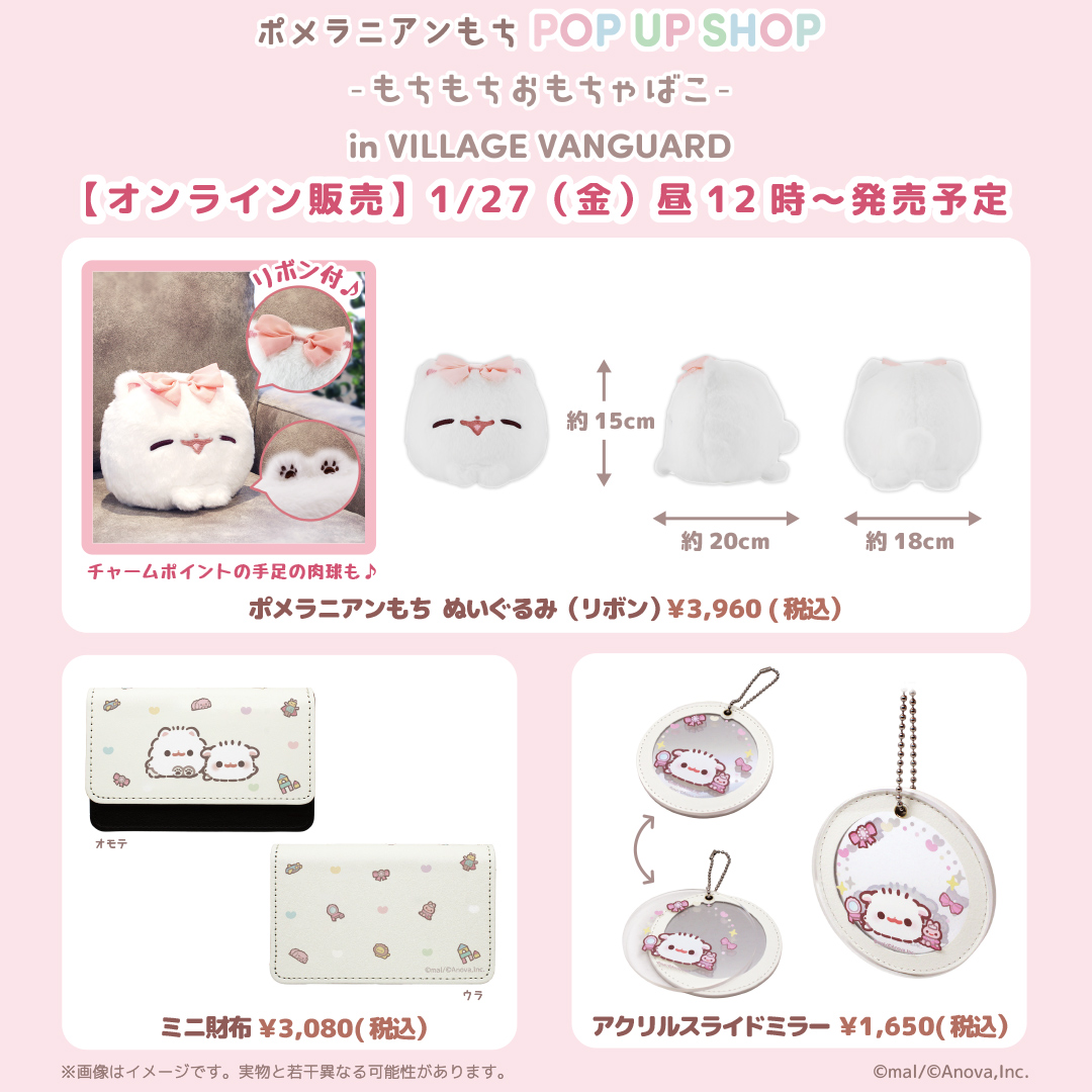 ポメラニアンもち (@PomeranianMochi) / Posts / X