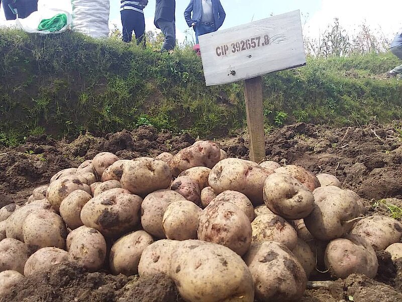Southern Province | Rwanda tweet media