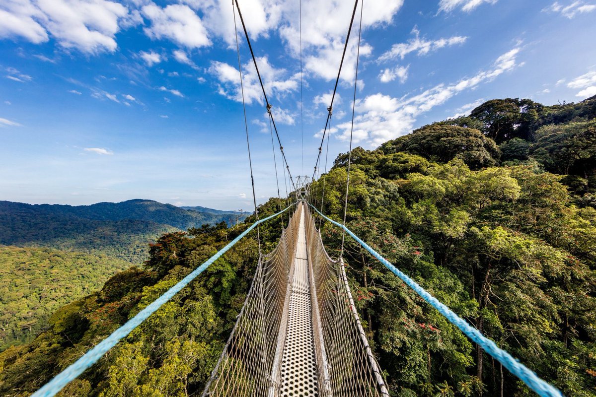 Southern Province | Rwanda tweet media