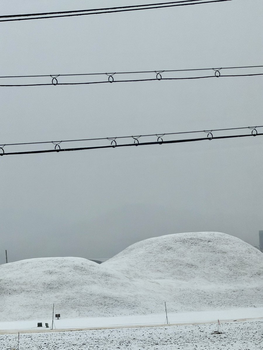 백🎗 tweet media