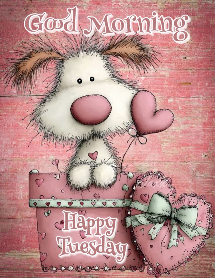 My moms caregiver tweet media