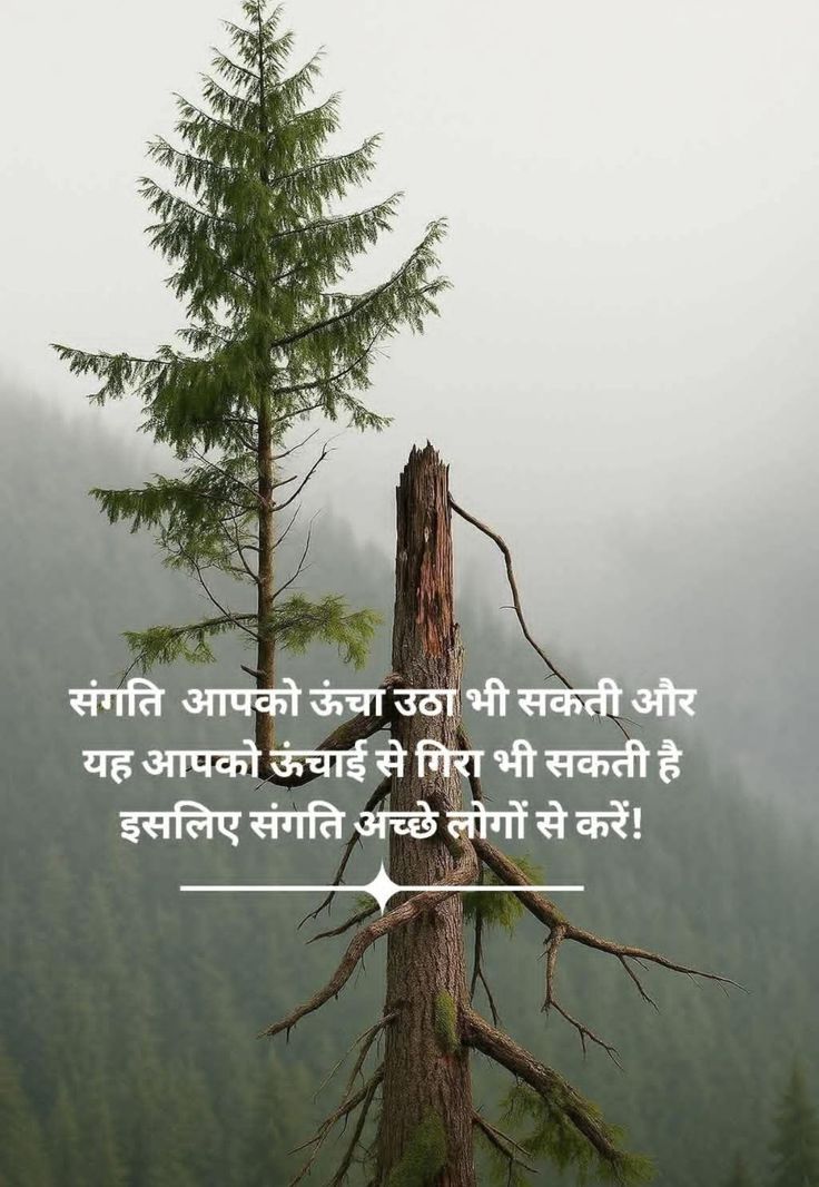 kum_sk07's tweet image. संगति आपको ऊंचा उठा भी सकती है और यह आपको ऊंचाई से गिरा भी सकती है।
इसलिए संगति अच्छे लोगों से करें।

IQOO 15R
COBOL 
#OPReformsCG