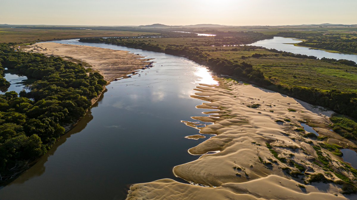 Oscar Rivet tweet media