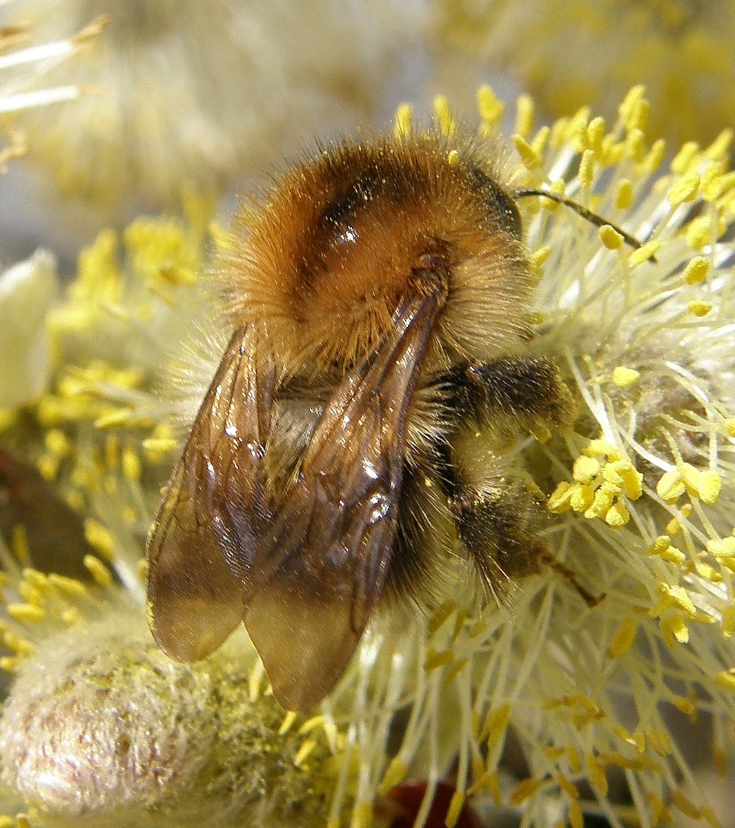 Steven Falk tweet media