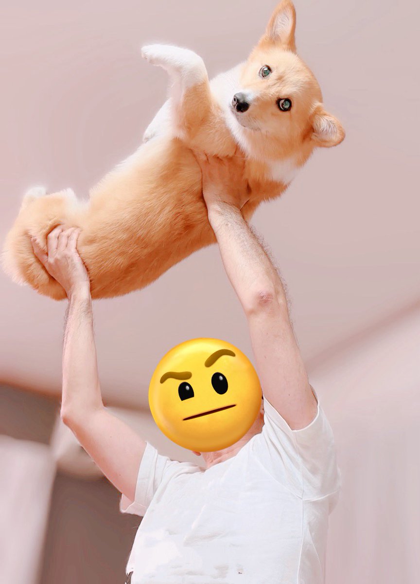 rinokiya's tweet image. 父ちゃんすぐ影響される…

#リフト
#絶対に落とさない
#気分は金メダル