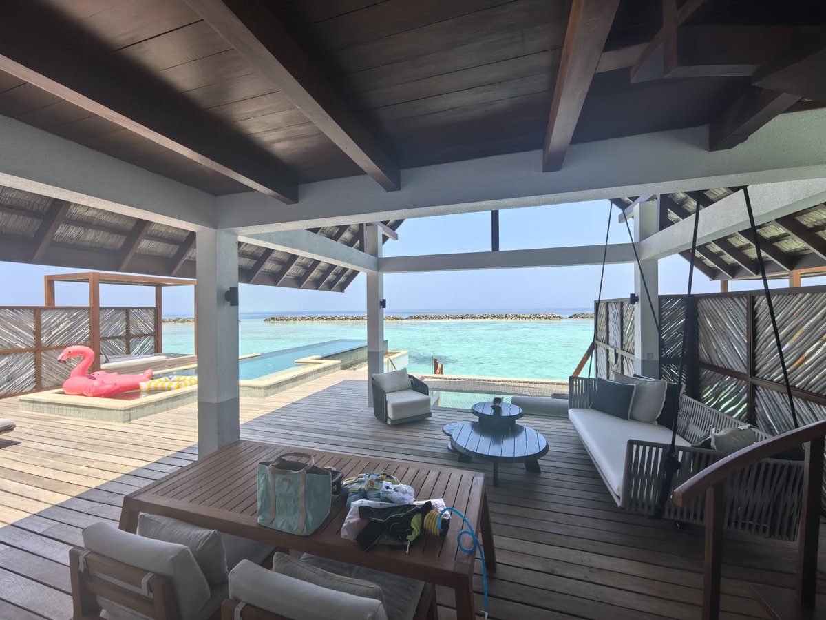 Skydiving tweet media