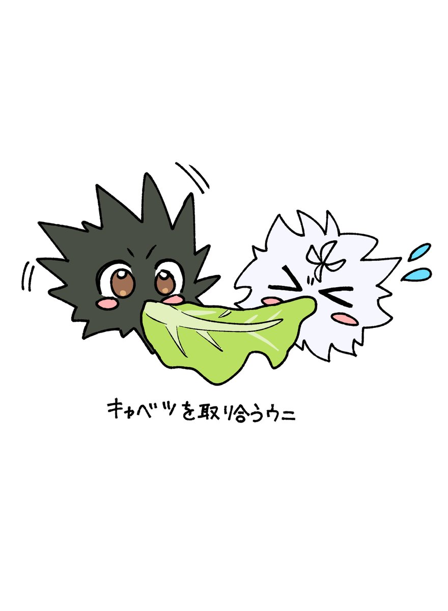 🎣ウニと🛹ウニ