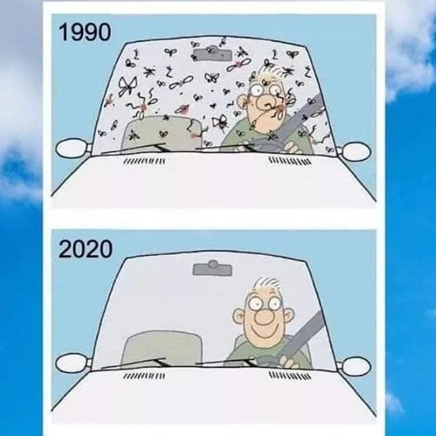 🌞HELIOS🌞 tweet media