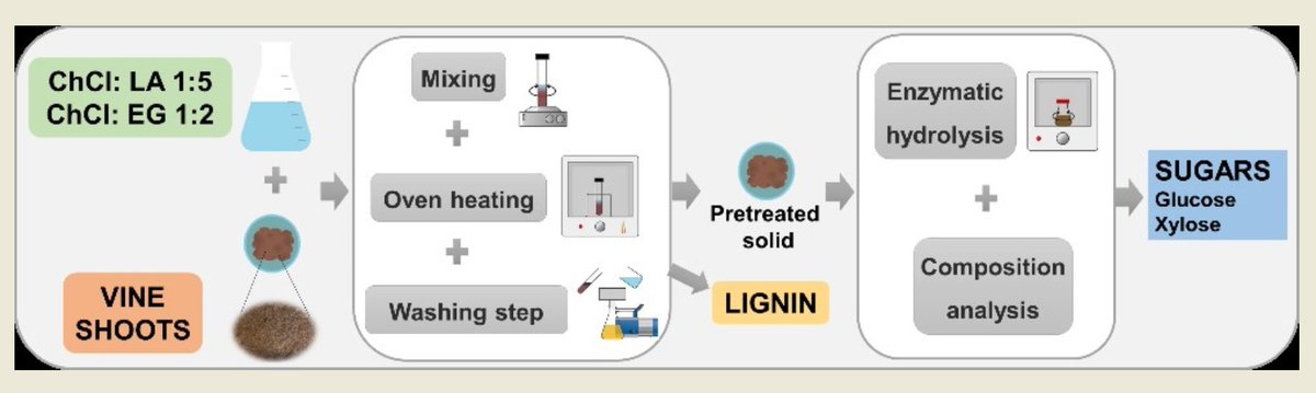 Bioengineering MDPI tweet media