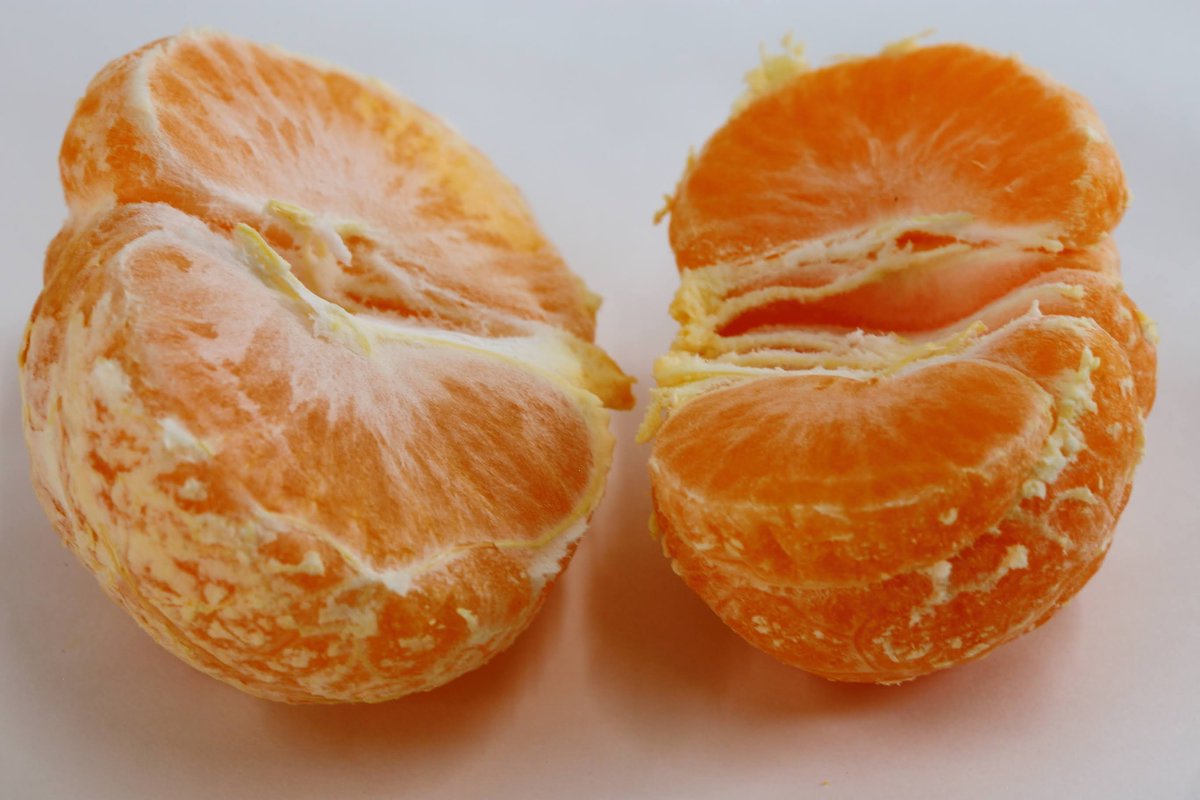 ポンっとデコポン【公式】 (@Azzyana) / Posts / X