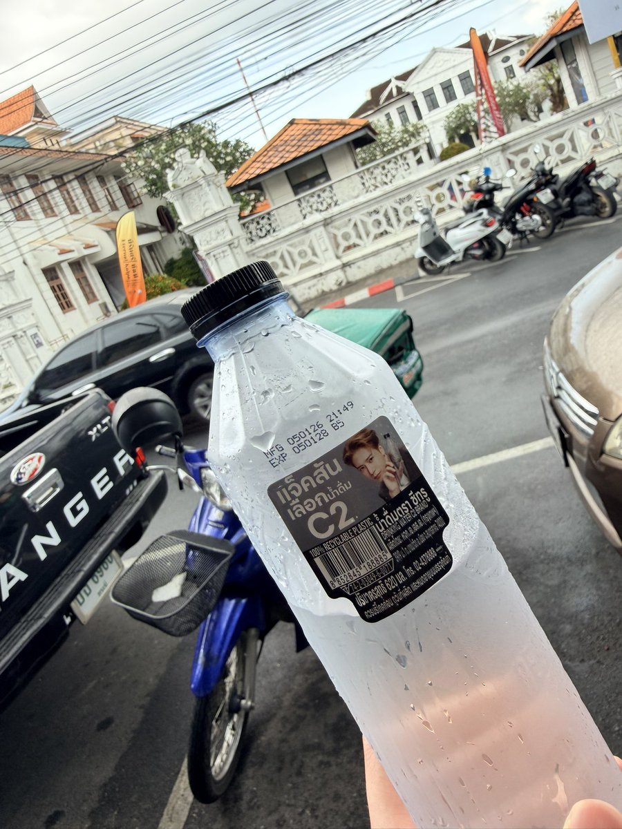 白山茶 tweet media