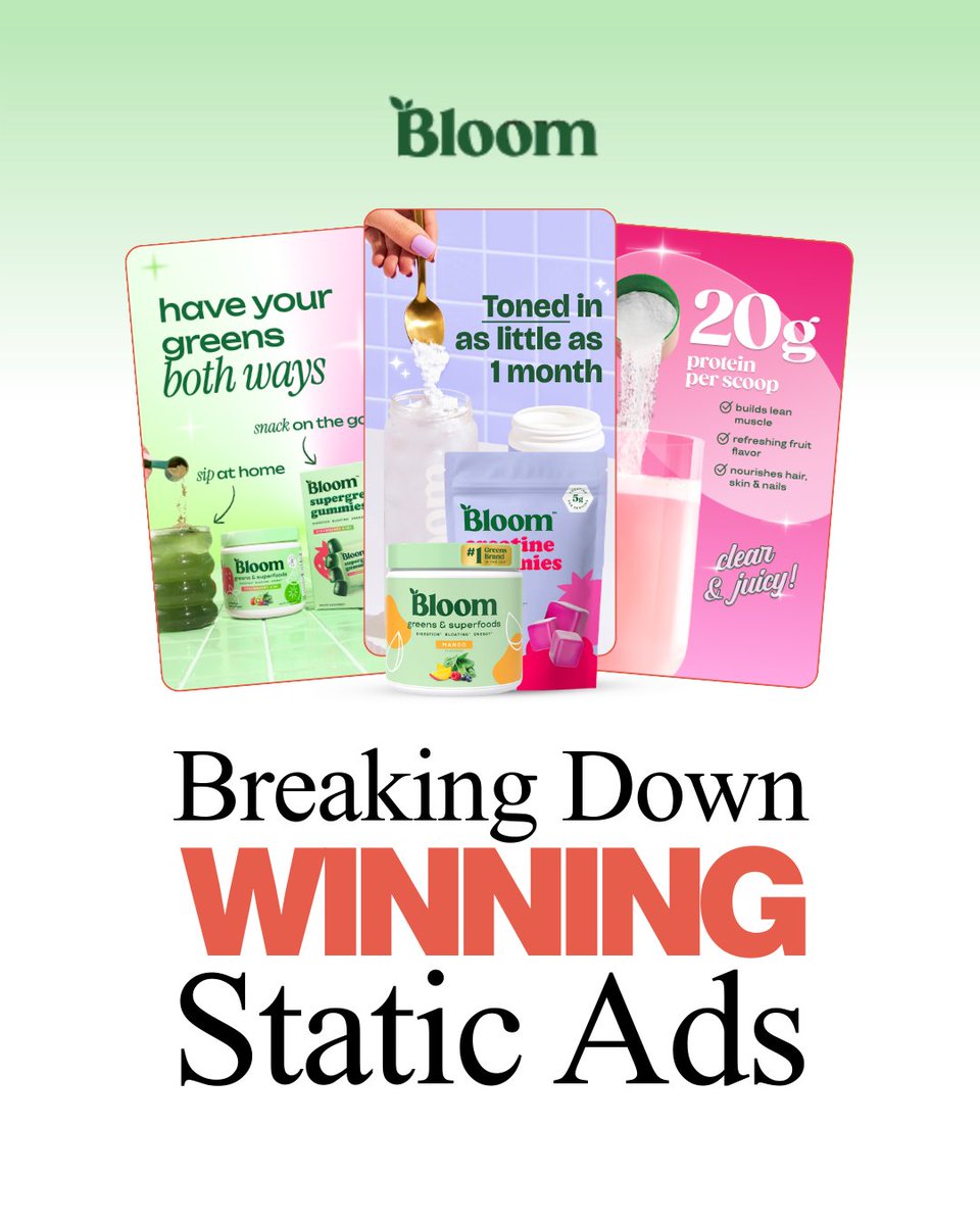 Valentino - Performance Ad Designer (DTC & Ecom) tweet media