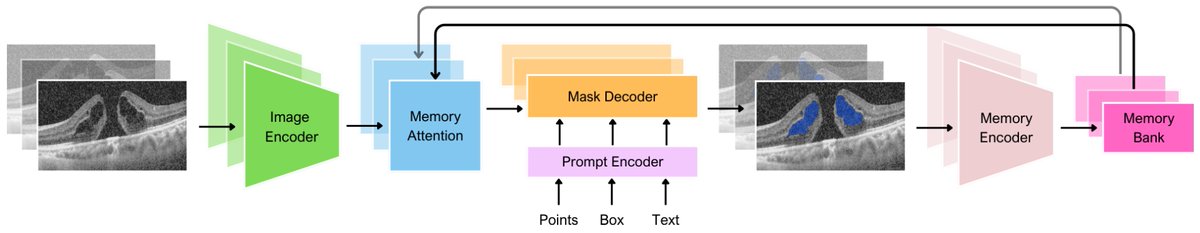 Bioengineering MDPI tweet media