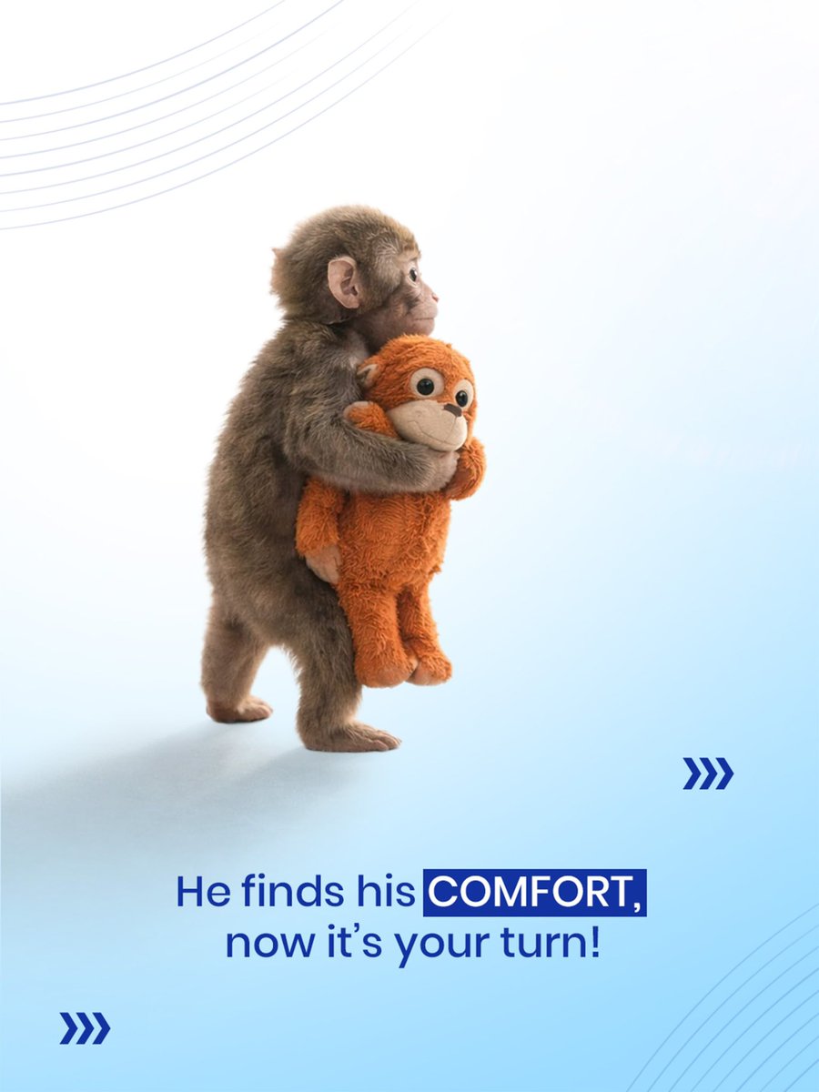 sanghaviharsh's tweet photo. Comfort above all!
#GSRTC #MonkeyTrend #Punch https://t.co/iozh0j2pL7
