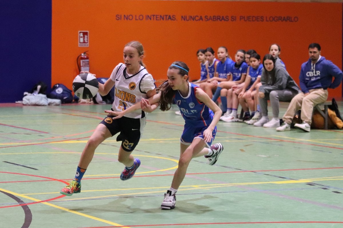 📸 Ya están añadidas las imágenes de la #LigaMarcoAldany del pasado fin de semana a nuestra galería de Flickr: flic.kr/s/aHBqjCyCoM