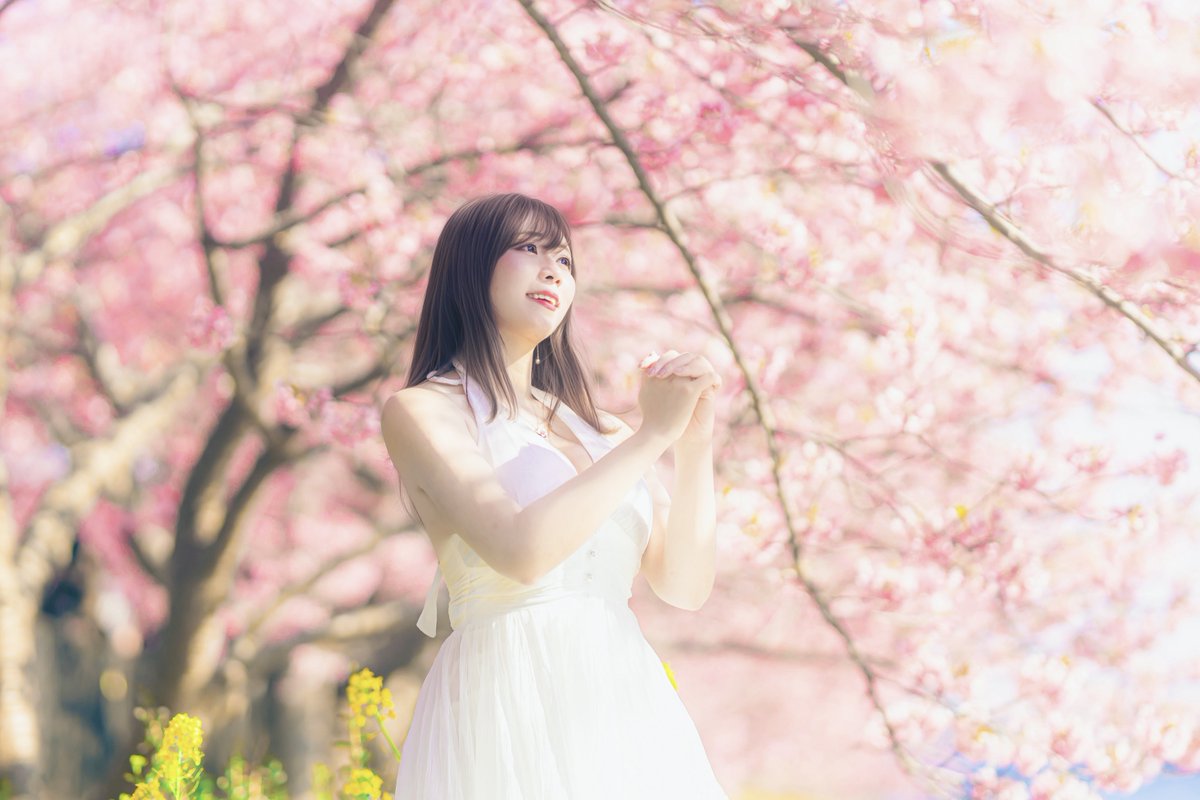 カド吉🥑 (@Eche_Gluck) / Highlights / X