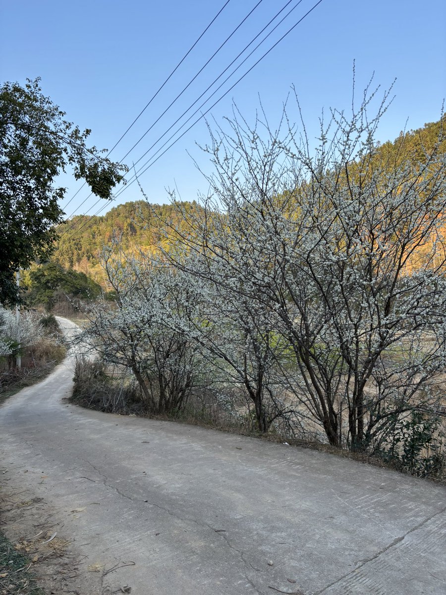 也是头痛的事情，来X平台马上要一个月了，接下来怎么来做？做什么内容？方向是什么？定位又是什么？还真不知道，这咋整呀？有经验的前辈多多指点一下嘛，万分感谢🙏