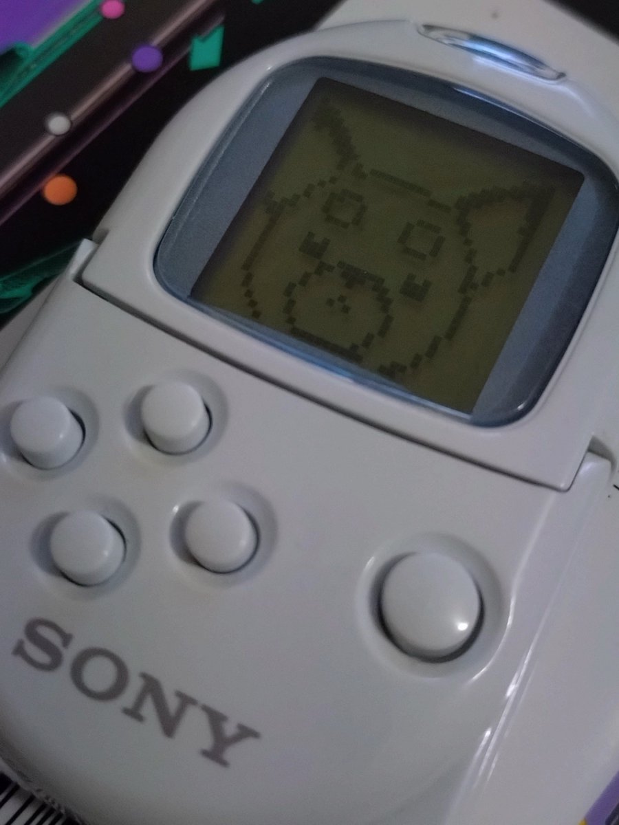 ポケステ実機に超かぐや姫！の犬DOGE入れてたよ！
