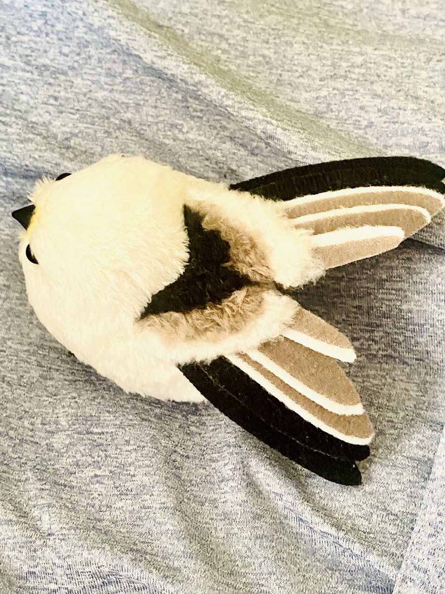 もふげB (@mocchi_kitchen) / Posts / X