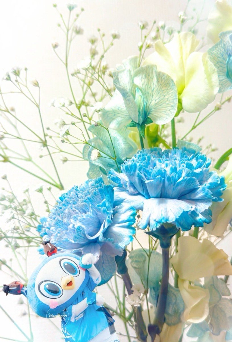 ハマブルーと思って買ってきた(○ ˃̶͈̀ロ˂̶͈́)੭ꠥ⁾⁾🩵 良い感じ(?)に