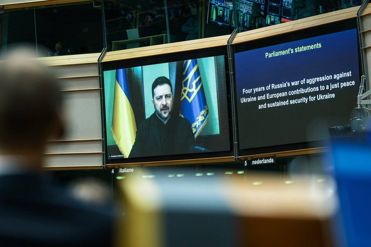 Ana Miguel Pedro tweet media