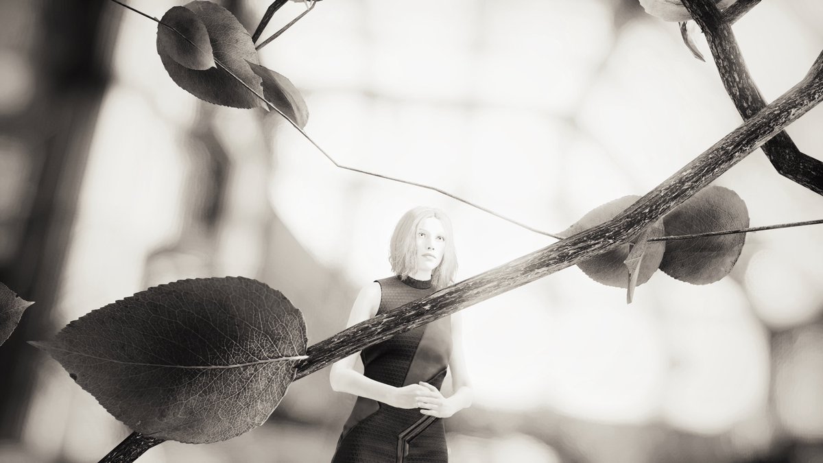 30 DAYS PHOTO CHALLENGE DAY 25 Storytelling / 兆し（Sign