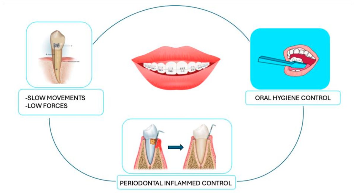 Bioengineering MDPI tweet media