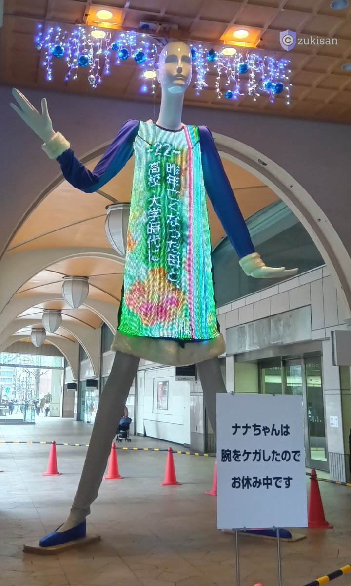 昼3時過ぎ撮影。このときは、とりあえず腕の位置は正常に戻るも、手が