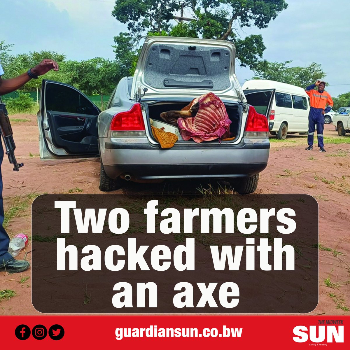 themidweeksun tweet media