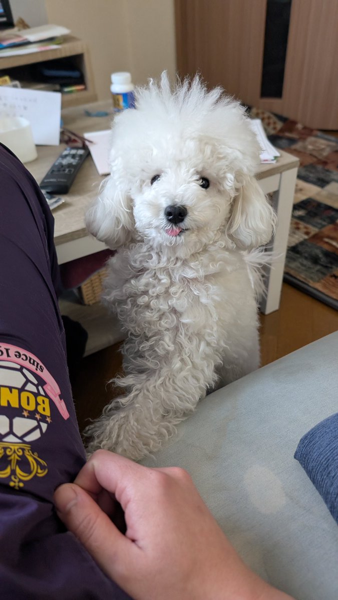 九州男児 tweet media