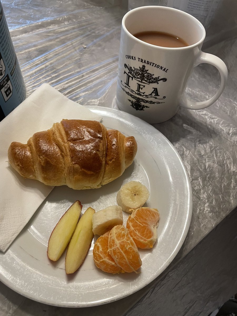 The Alpine Painter tweet media