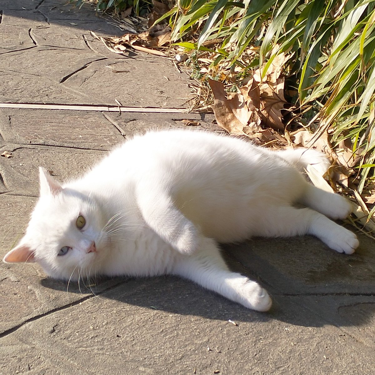 #unaVitaInCui mi basta quello che sono