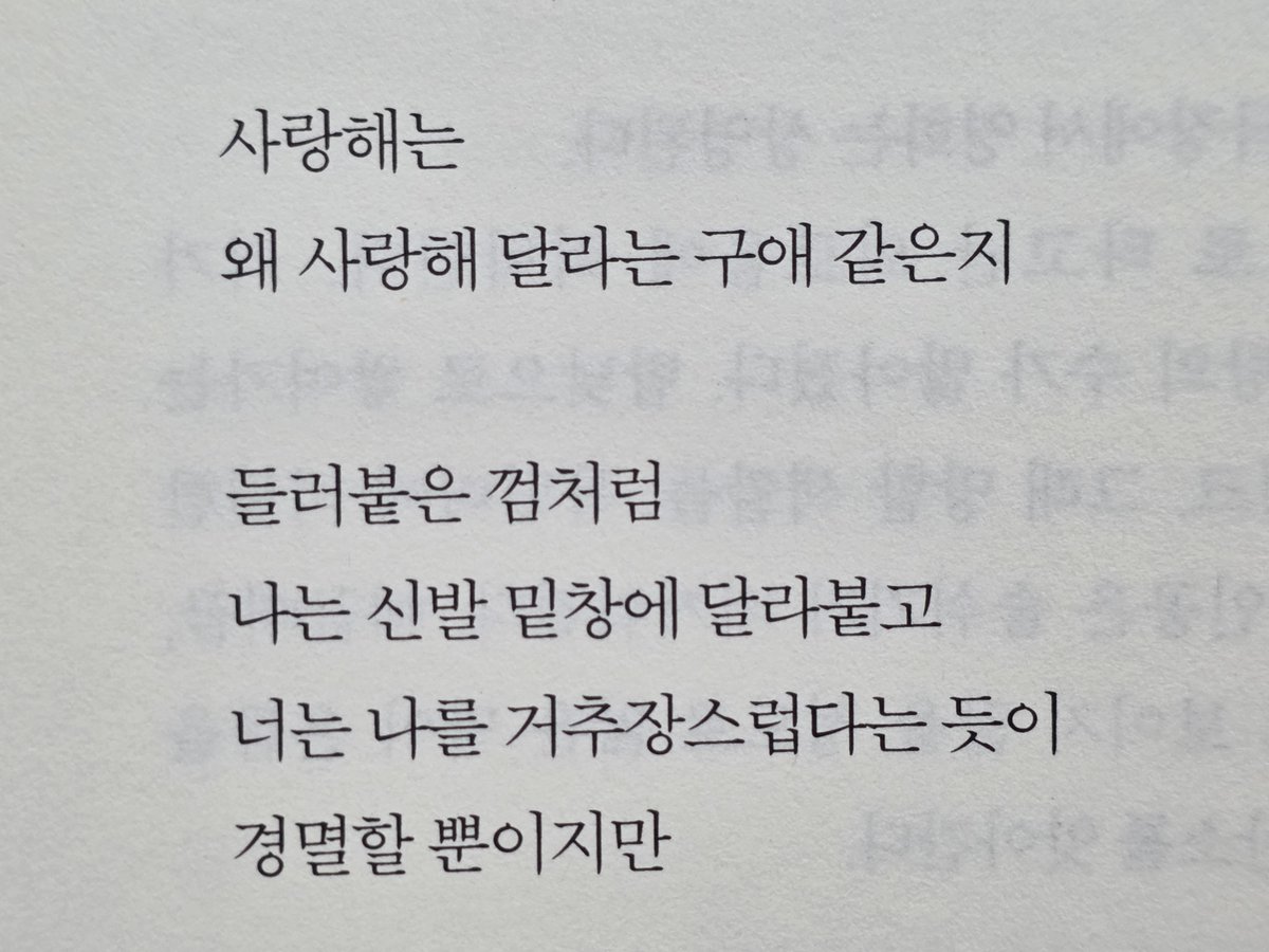 yuja5117's tweet photo. 사랑해는
왜 사랑해 달라는 구애 같은지 https://t.co/956nqAr7MB