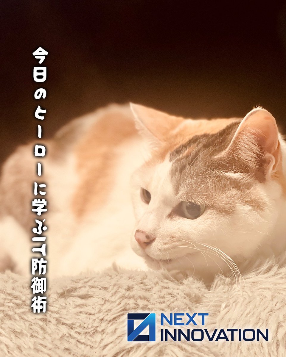 🐾猫社長ゆずマルにゃ🐱 2026年2月24日（火） #今日は何の日×ゆずマル