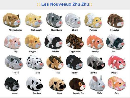 Max130125's tweet photo. Salut vous êtes le quel de zhu zhu pet ? https://t.co/cAxBEqRSHz
