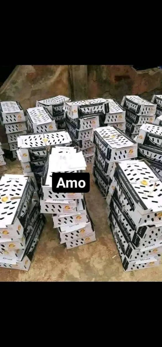Tope_Orus's tweet photo. AGRITED broilers half carton 37,000 Full carton (74,000)

AMO day old broilers half carton 36,000 Full carton (72,000)

ZARTECH day old broilers half carton 35,000 Full carton (70,000)

SAYED DAY OLD BROOLERS half carton 35,000 Full carton (70,000).

LOCAL TURKEY 3,500 Full carton(105,000)

LAYERS A CARTON 78,000 HALF CARTON 39,000

NOILERS A CARTON 32,500

BRAHMA A CARTON 42,000

IMPORTED TURKEY 5,500

white cockerel #400

 black cockerel #450