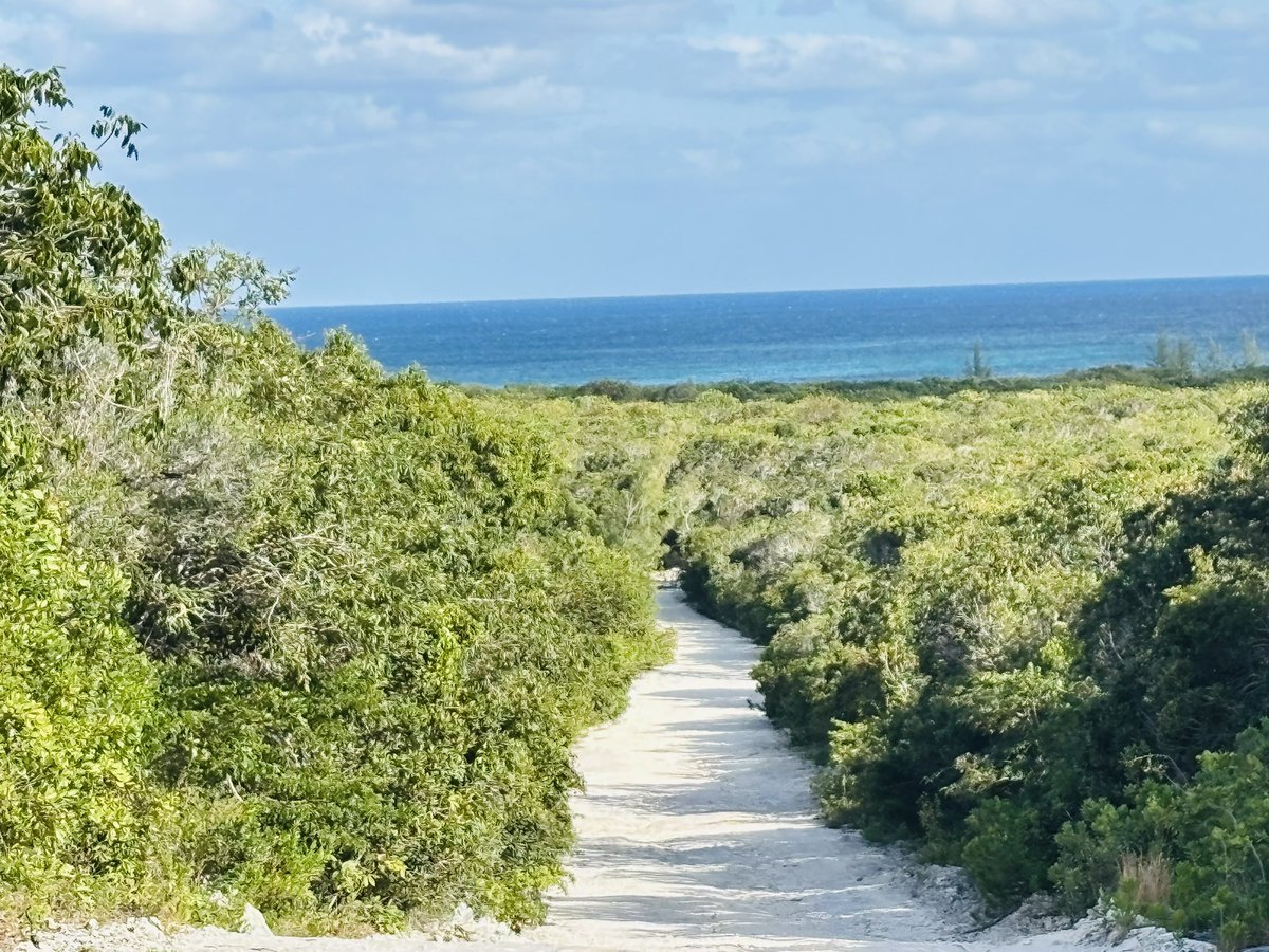 Curtis Philpot tweet media