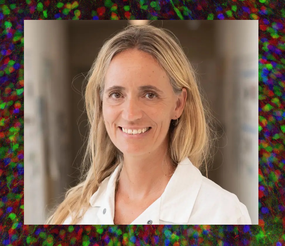 ISDN 2027 Conference tweet media