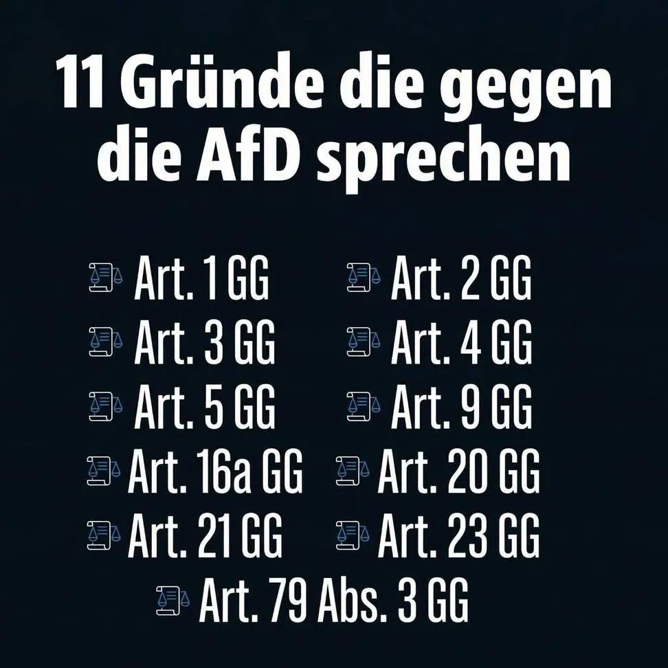 11 Gründe, die gegen die AfD sprechen:
