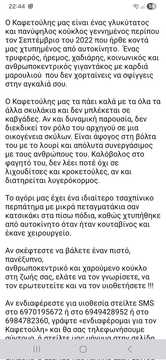 🆘️🆘️🆘️
Ο Καφετουλης είναι ένας πανυψηλος κούκλος γεννημενος το 22 που ψάχνει σπίτι 
Τα πάει πολύ καλά με άλλα σκυλάκια,άψογος στη βόλτα
Όποιος ενδιαφέρεται να υιοθετήσει έναν πανέξυπνο,πιστο κ ανθρωποκεντρικο κούκλο να επικοινωνήσει με τα τηλ
Rt 🙏 🙏 🙏