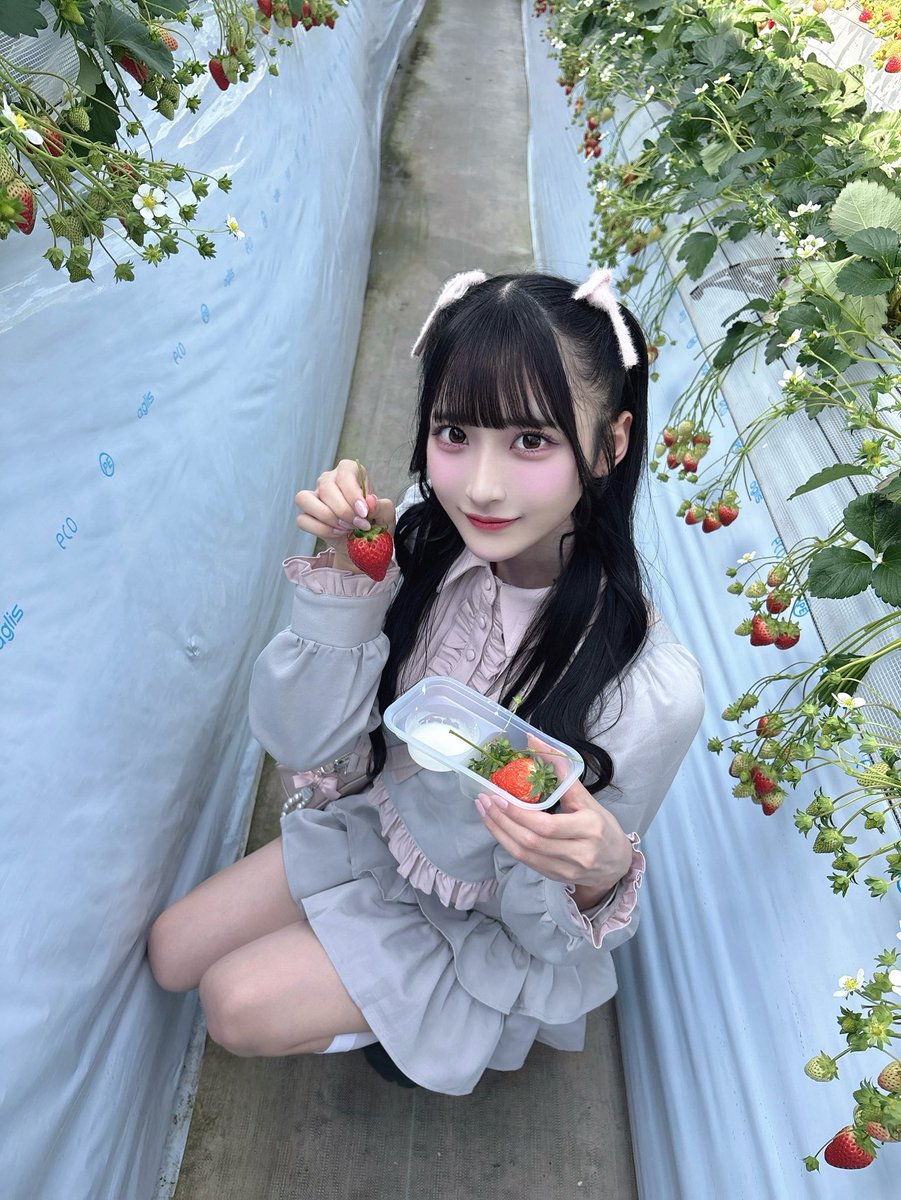 らんちゃん (@raarachan3) on X