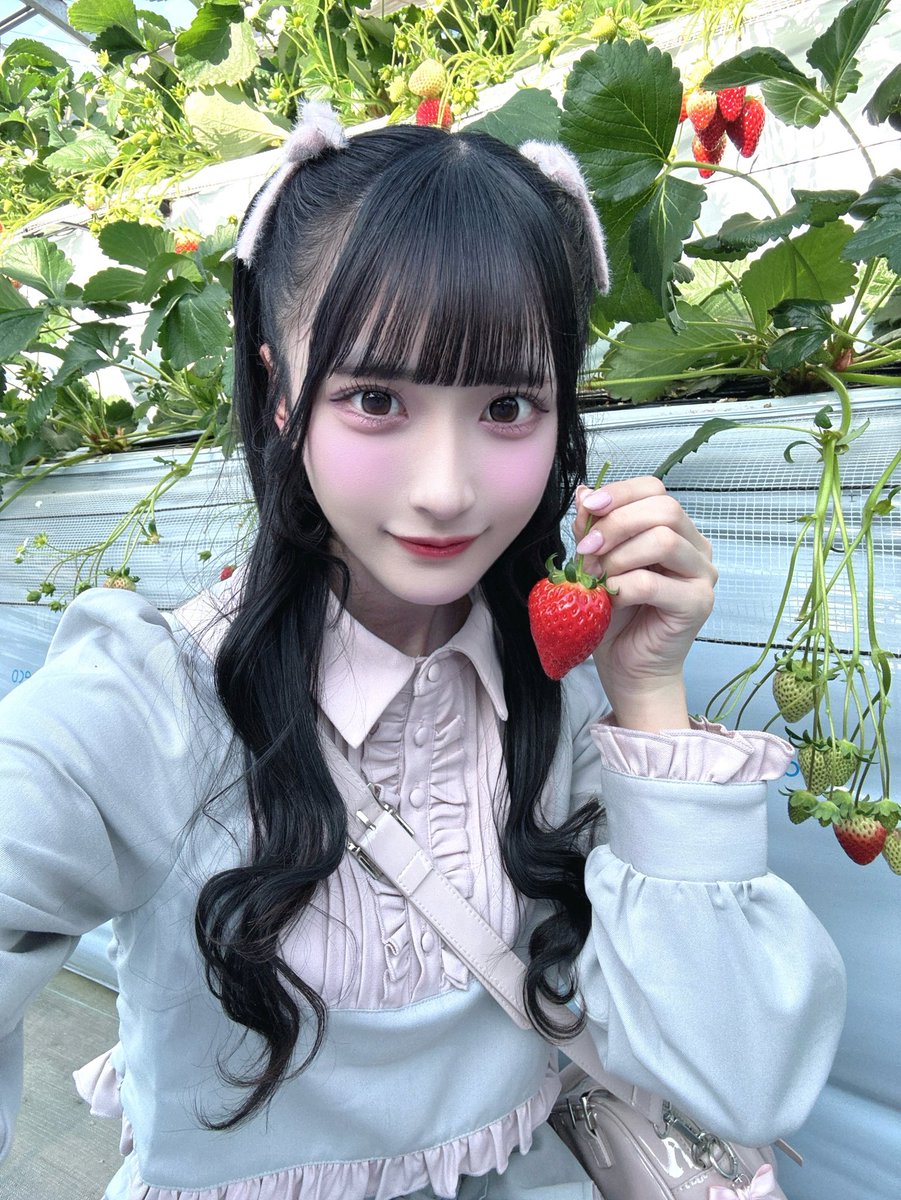 らんちゃん (@raarachan3) on X