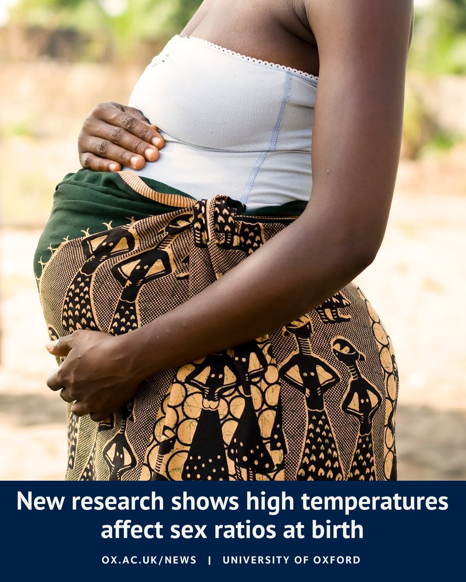 NEW: Oxford researchers have found that higher temperatures can shift the sex ratio at birth.

Temperatures above 20°C are consistently linked to fewer boys being born across multiple regions - with implications for population health and gender balance.

Read more ⬇️