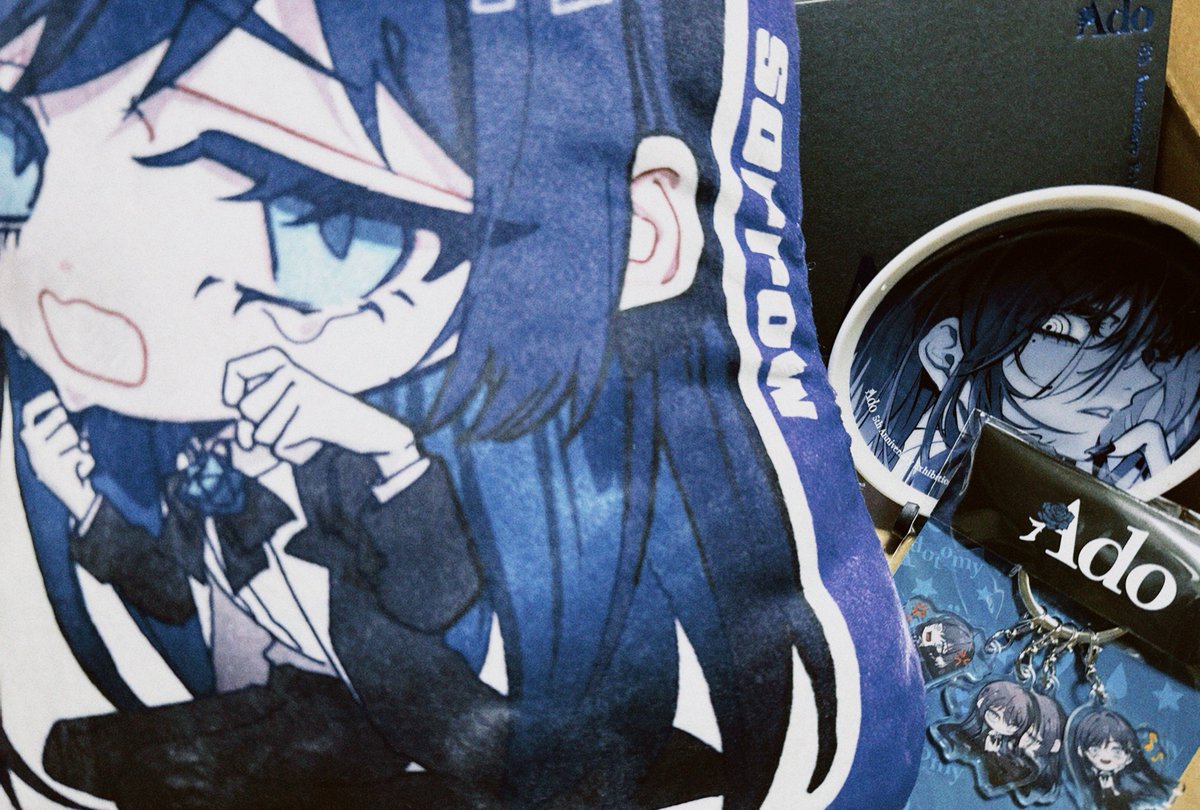 Adoちゃん我が家にいらっしゃい🏠♡