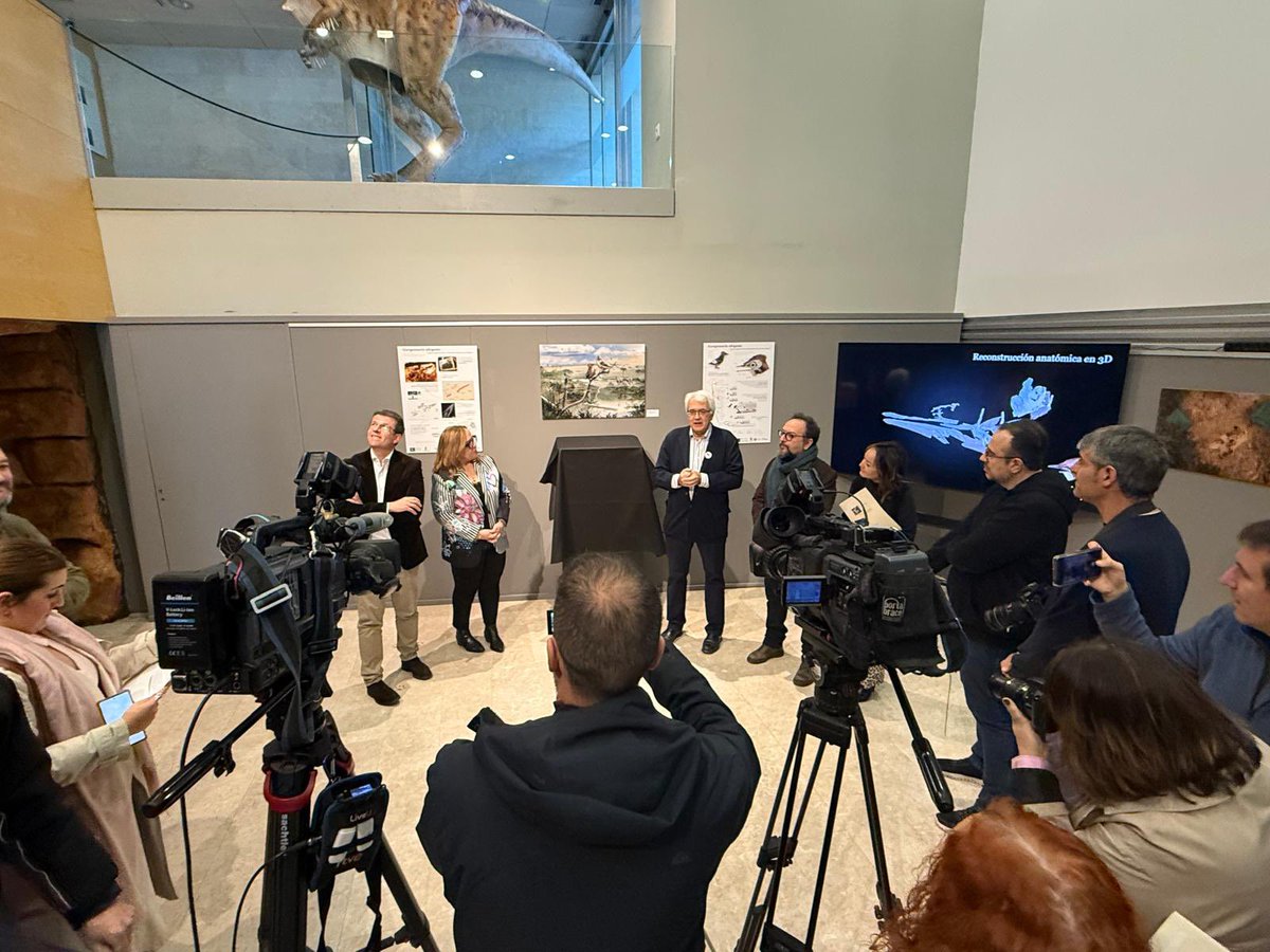 Museo de Paleontología de Castilla-La Mancha tweet media