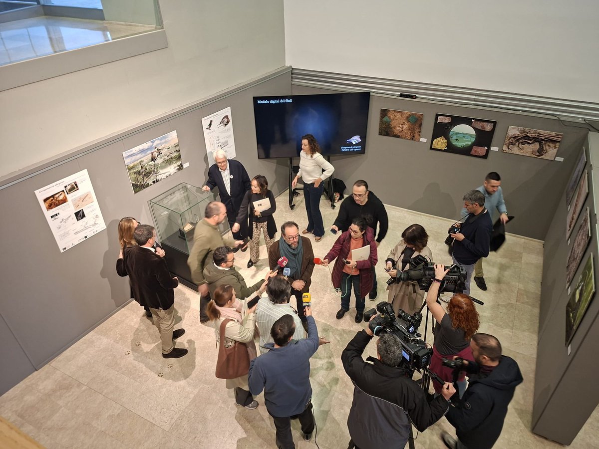 Museo de Paleontología de Castilla-La Mancha tweet media