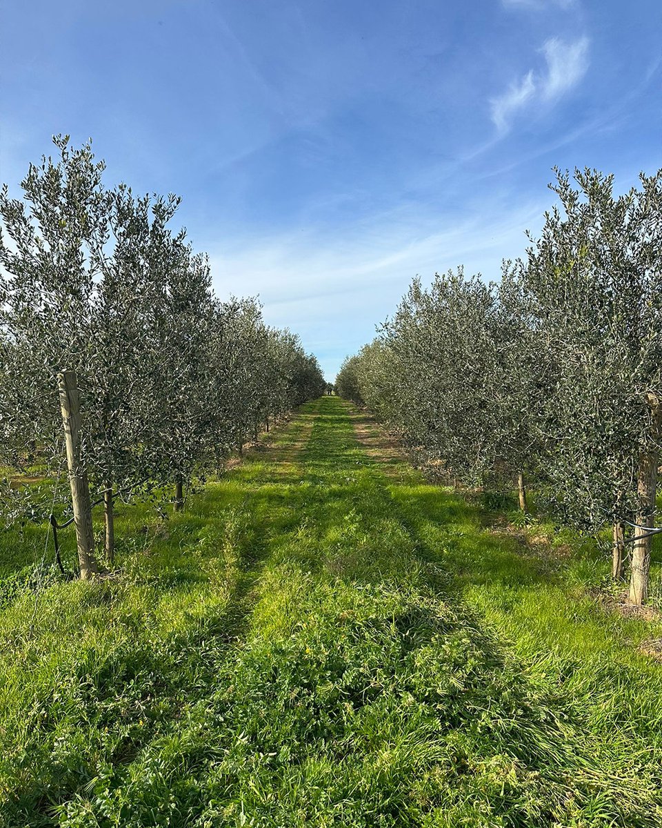 Bexyl Project tweet media