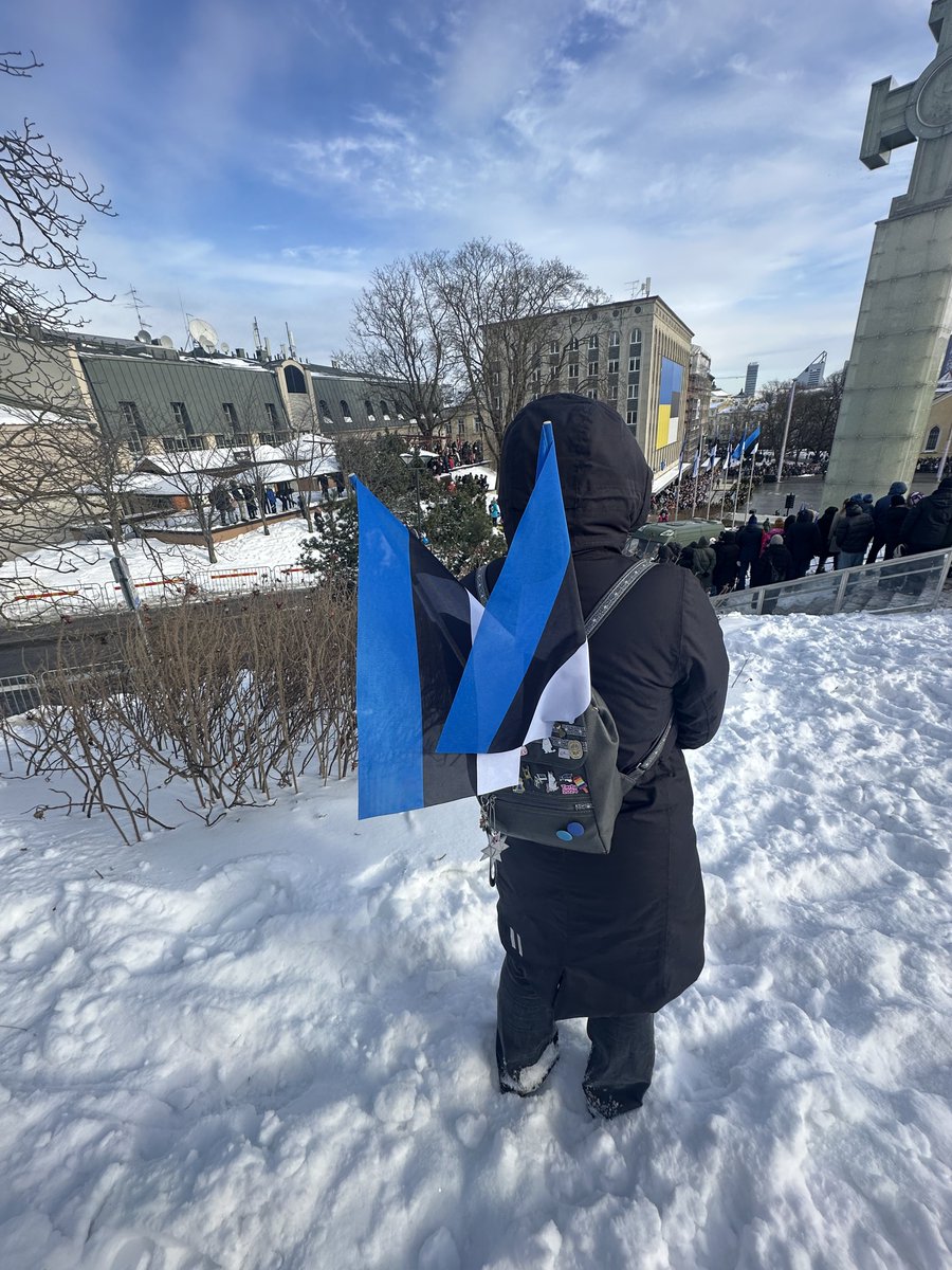 Eliisa ✭ tweet media