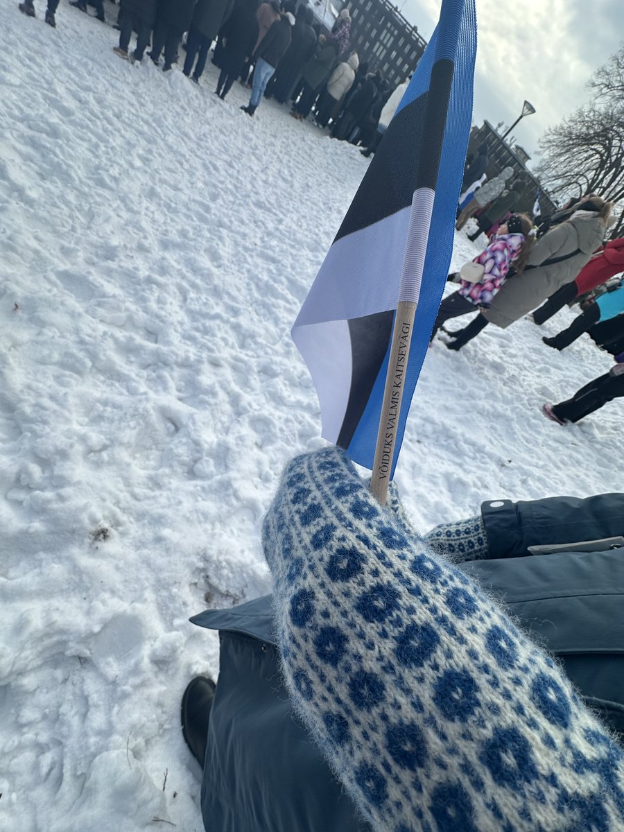 Eliisa ✭ tweet media